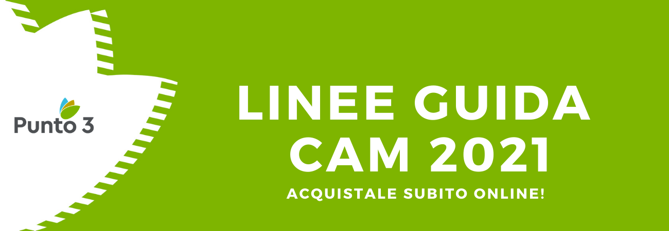 Linee Guida CAM 2021